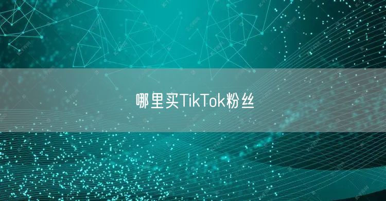 哪里买TikTok粉丝
