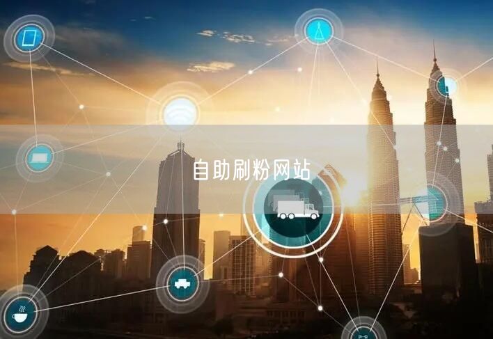 自助刷粉网站