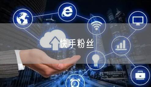 快手粉丝