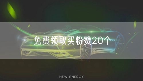 免费领取买粉赞20个