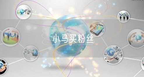 小马买粉丝