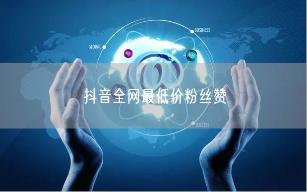 抖音全网最低价粉丝赞