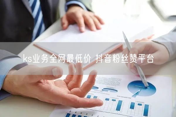 ks业务全网最低价 抖音粉丝赞平台