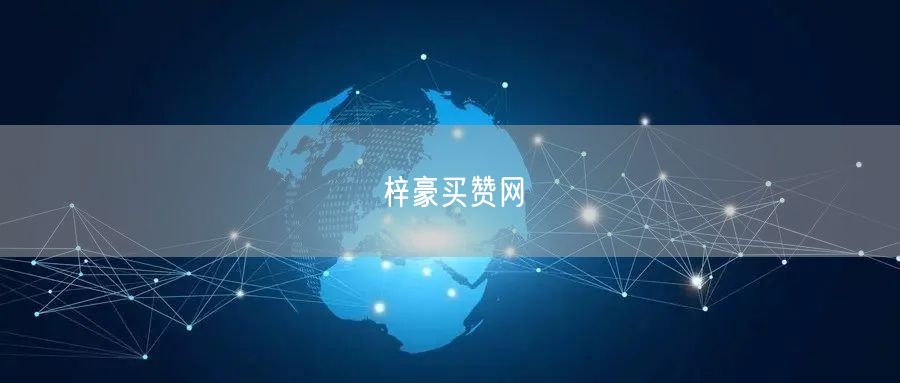 梓豪买赞网