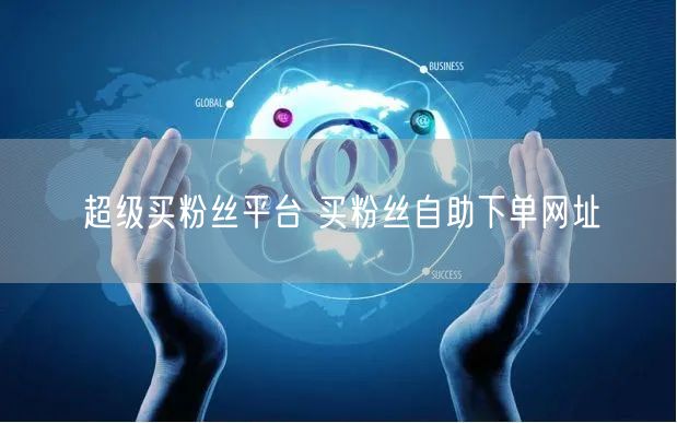 超级买粉丝平台 买粉丝自助下单网址